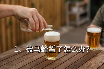 1、被马蜂蜇了怎么办？