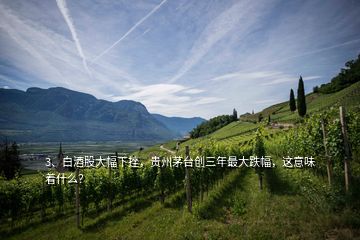 3、白酒股大幅下挫，贵州茅台创三年最大跌幅，这意味着什么？