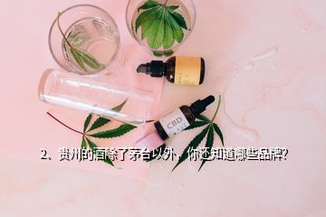 2、贵州的酒除了茅台以外，你还知道哪些品牌？