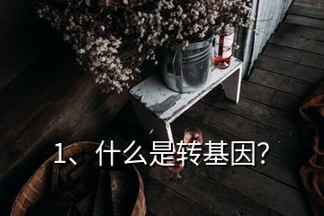 1、什么是转基因？