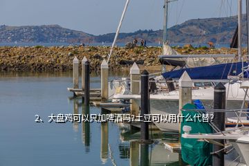 2、大盘鸡可以只加啤酒吗?土豆可以用什么代替？