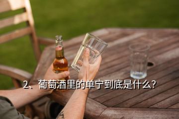 2、葡萄酒里的单宁到底是什么？