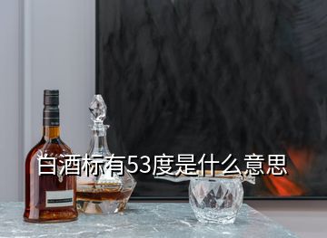 白酒标有53度是什么意思