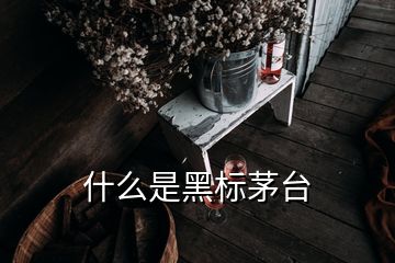 什么是黑标茅台