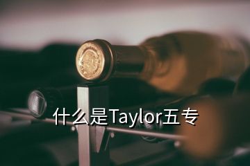 什么是Taylor五专