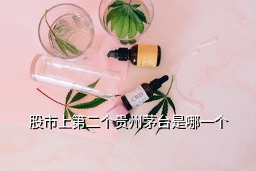 股市上第二个贵州茅台是哪一个