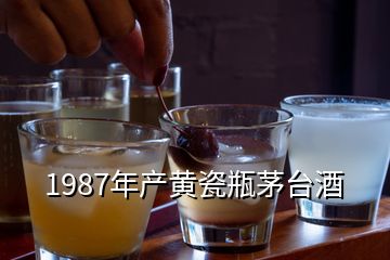 1987年产黄瓷瓶茅台酒