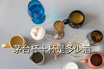 茅台杯十杯是多少酒