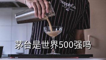 茅台是世界500强吗