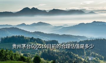 贵州茅台600519目前的合理估值是多少