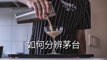 如何分辨茅台