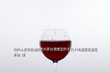 为什么京东商城的贵州茅台酒便宜的才几十块是真还是假茅台  搜