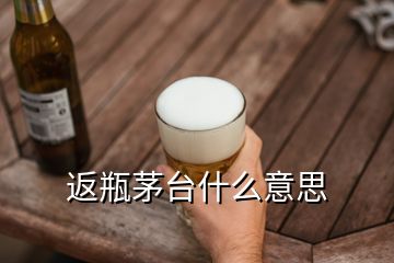 返瓶茅台什么意思