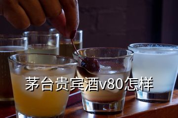 茅台贵宾酒v80怎样