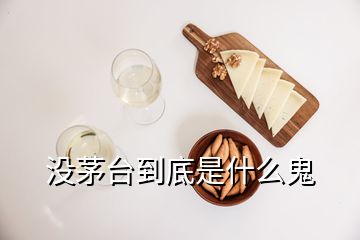 没茅台到底是什么鬼