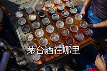 茅台酒在哪里