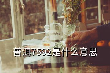 普洱7592是什么意思