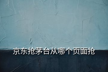 京东抢茅台从哪个页面抢