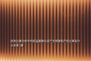 财务比率分析中的权益乘数与资产负债率和产权比率有什么关系  搜