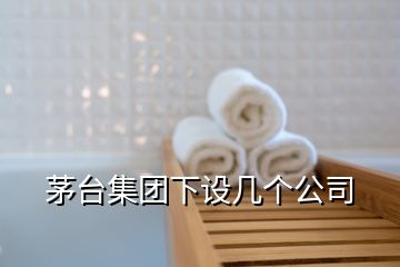 茅台集团下设几个公司