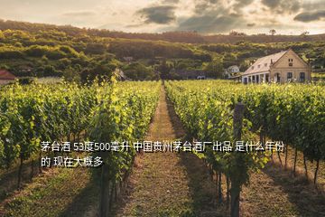 茅台酒 53度500毫升 中国贵州茅台酒厂出品 是什么年份的 现在大概多