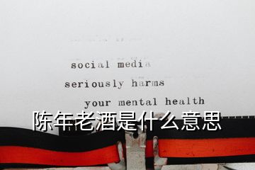 陈年老酒是什么意思