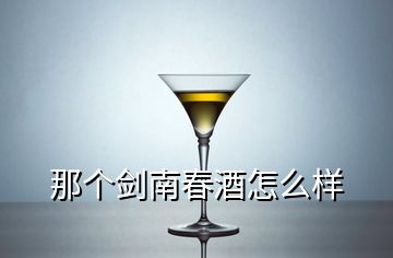 那个剑南春酒怎么样