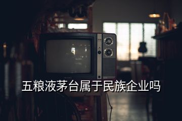 五粮液茅台属于民族企业吗