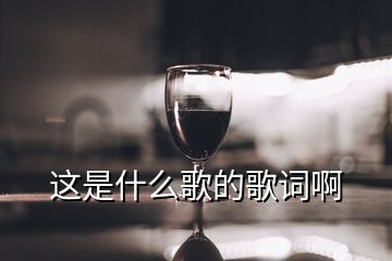 这是什么歌的歌词啊