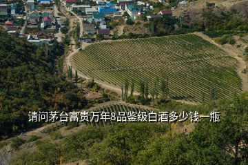 请问茅台富贵万年8品鉴级白酒多少钱一瓶