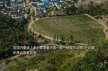 在国内餐桌上多少算酒量大我一般一顿饭可以喝5升50度的茅台朋友说我