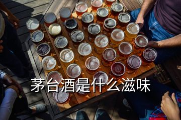 茅台酒是什么滋味