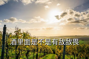 酒里面是不是有敌敌畏