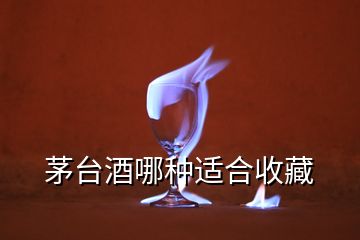 茅台酒哪种适合收藏