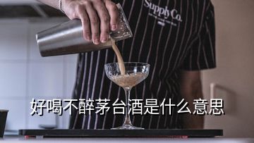 好喝不醉茅台酒是什么意思