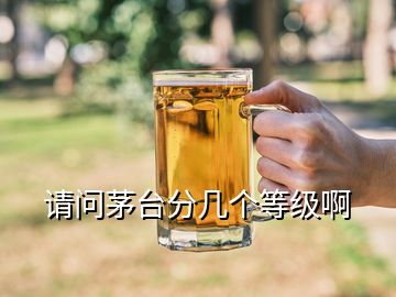 请问茅台分几个等级啊