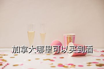 加拿大哪里可以买到酒