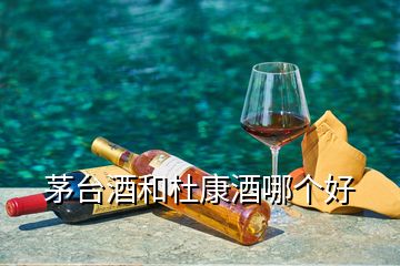 茅台酒和杜康酒哪个好