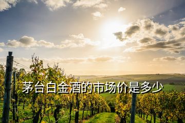 茅台白金酒的市场价是多少