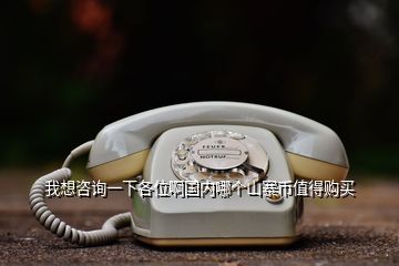 我想咨询一下各位啊国内哪个山寨币值得购买