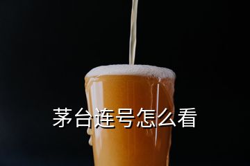 茅台连号怎么看