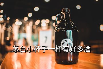 茅台小杯子一杯有好多酒