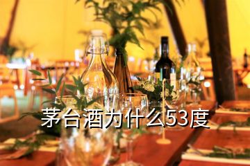 茅台酒为什么53度