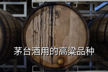 茅台酒用的高粱品种