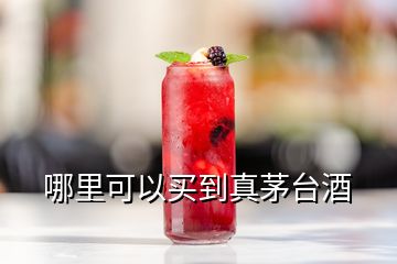 哪里可以买到真茅台酒