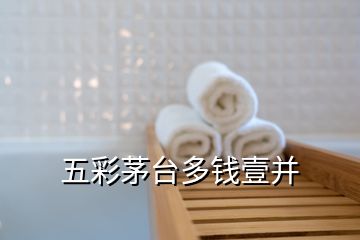 五彩茅台多钱壹并