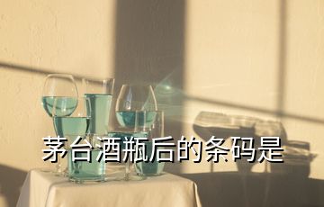 茅台酒瓶后的条码是