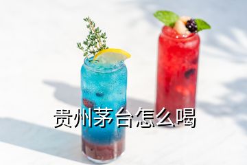 贵州茅台怎么喝