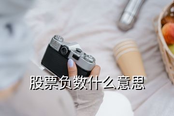 股票负数什么意思