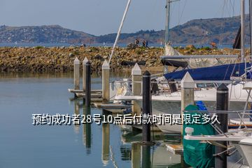 预约成功者28号10点后付款时间是限定多久